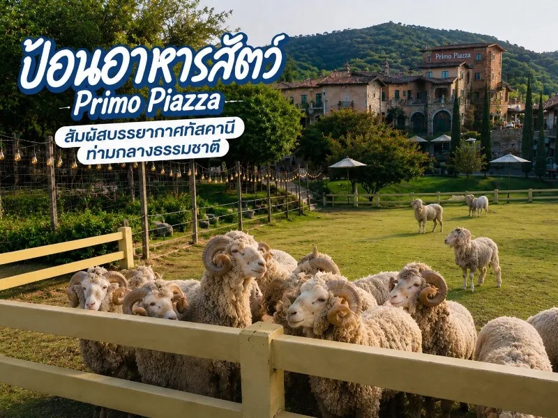Primo Piazza